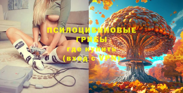 марки lsd Белокуриха